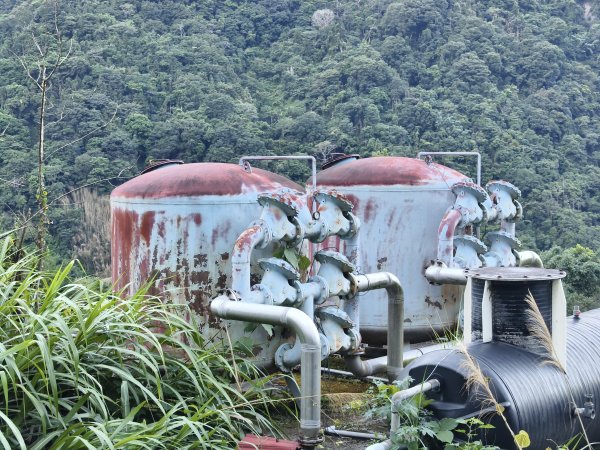 [玉山尋寶任務-07/12] 2025_0824 八通關雲龍瀑布步道2870439