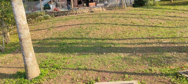 桃園大溪中正公園2977451