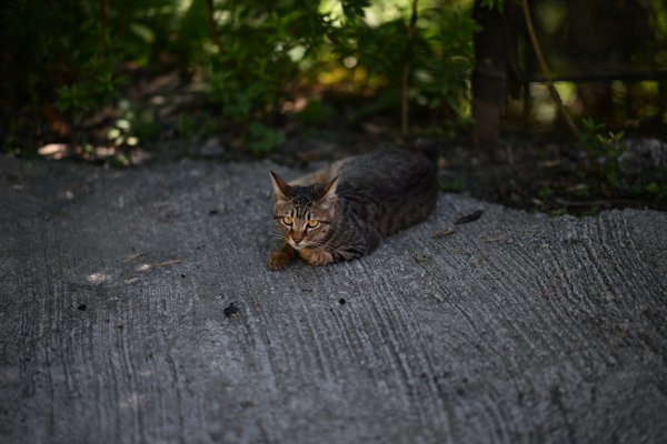 2025_0628 溪瀧步道2824981