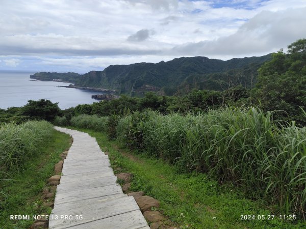 南子吝登山步道【踢不爛大地遊戲】2513439