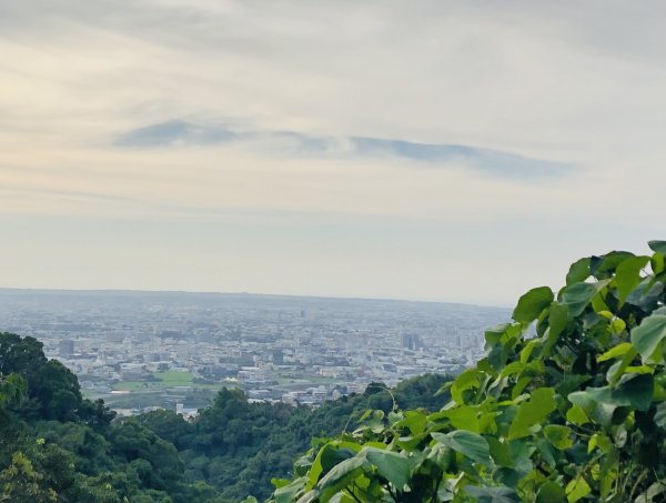 No.40 聚興山 親民小山