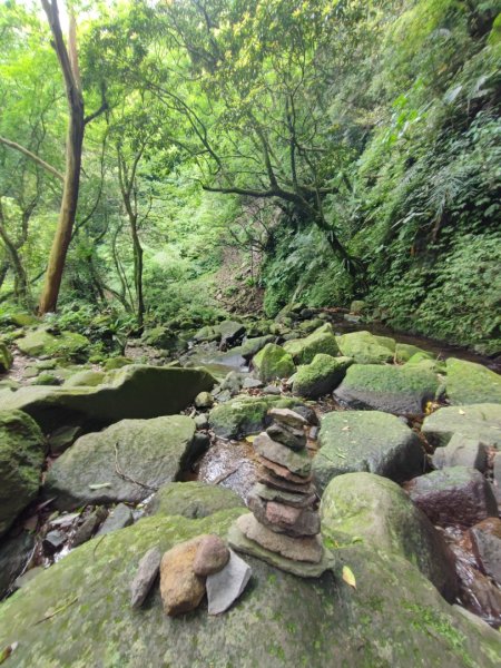 鹿角坑步道、楓林瀑布 - 陽明山國家公園申請路線~32476195