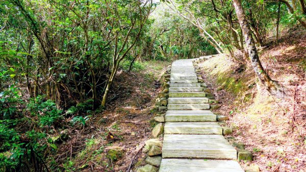 龍脊上的呼吸 (劍龍稜)2993647