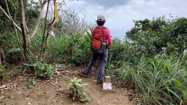 清幽的東北角郊山好路線美艷山火炎山新厝山沿海岸線O型2432658