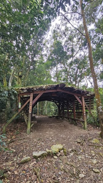 250105-七衝魔王小百岳#073尾寮山。開春第一走，最愛仍是你。2697968