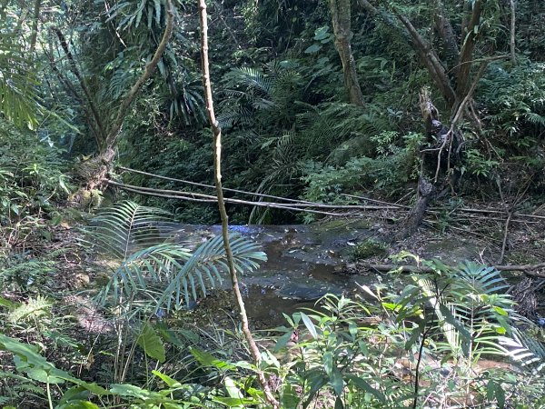 2025微笑山線大縱走尋寶集章任務-Ep.12【五分山系】望古瀑布段2908862