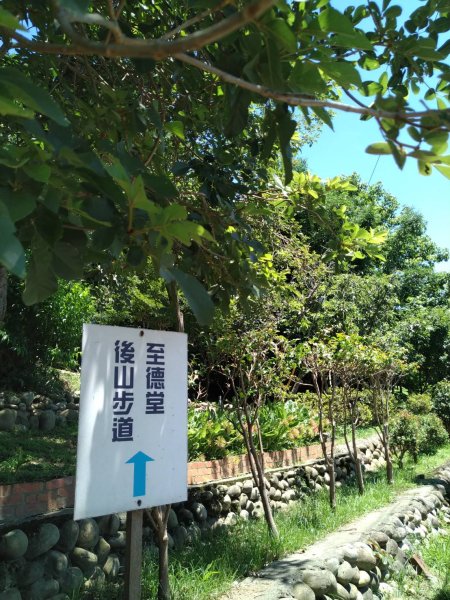 宵裡好風光－茄苳宵裡陽光單車之旅2817266