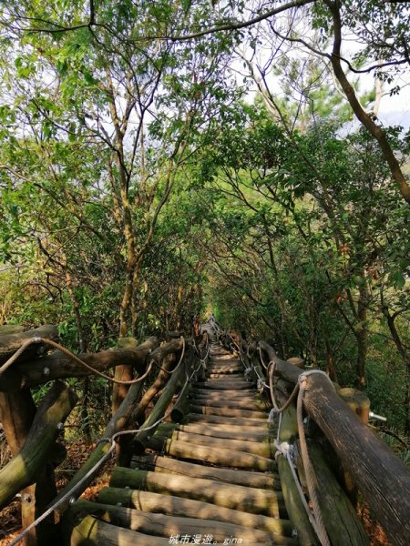 【台中。北屯】台灣百大必訪步道。 大坑四號步道1338779
