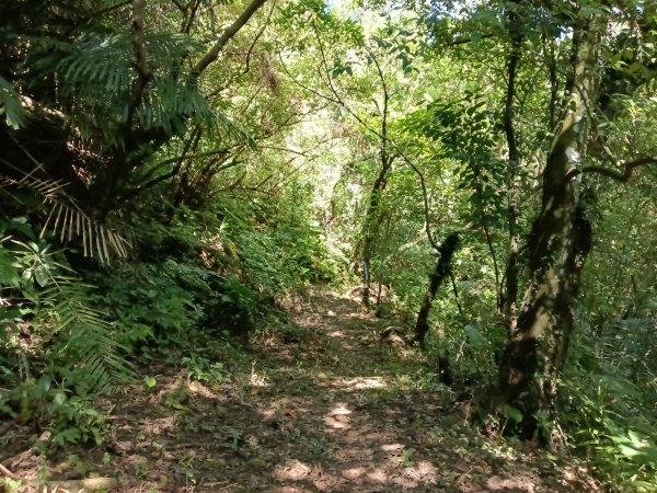 汐止區小溪瀑布+車坪寮土地公稜線2890133