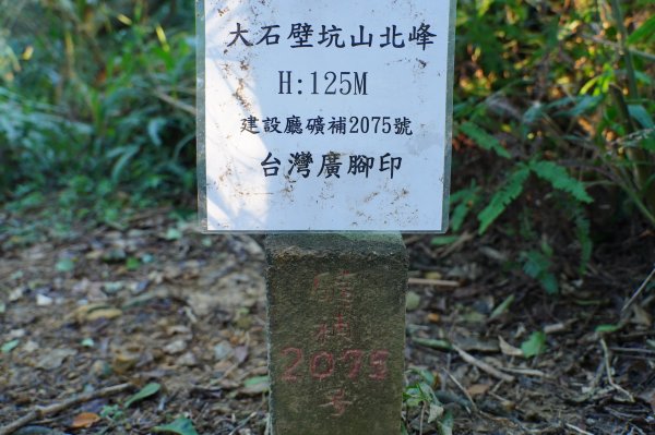 新北 貢寮 大石壁坑山、五酒桶山、龍崗山2980852