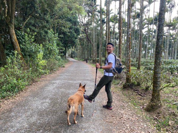貓囒山.涵碧步道.金龍山步道【國旅首選日月潭微秘境之旅】2448778