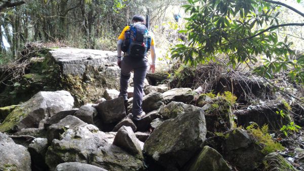 鳶嘴山、稍來山縱走107187