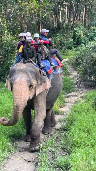 尼泊爾奇旺國家公園4天三夜2788894