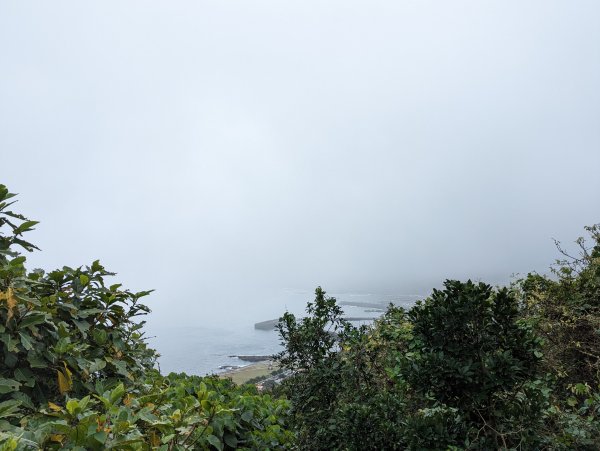 2023-02-11 忘憂谷步道2792579