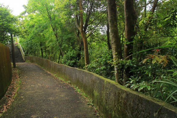 基隆慈佛寺步道 20190420568440