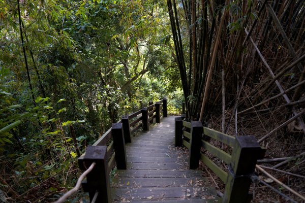 聚興山 新田登山步道2670670