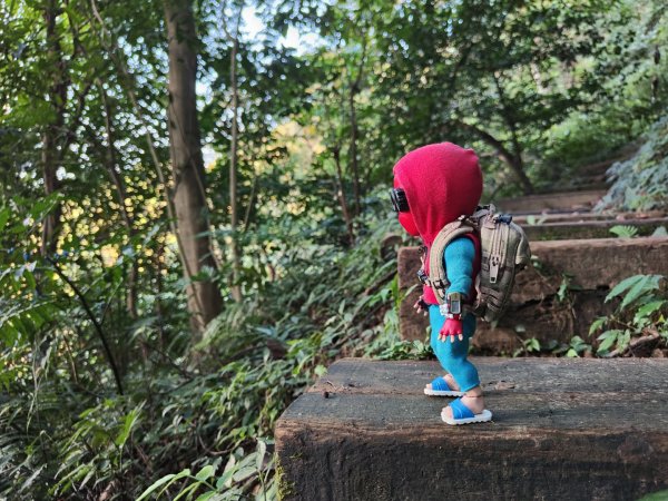 2023.12.14 土城天上山2827282