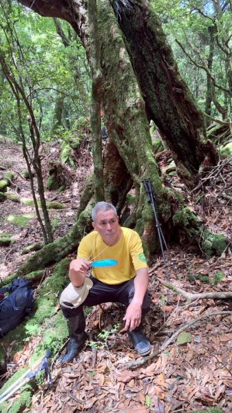 加里山P縱202506222818638