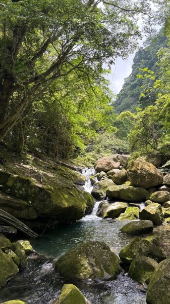 戲水（鴛鴦2786682