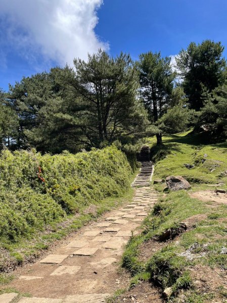 230622-縱走塔塔加三山（麟趾山、鹿林山、鹿林前山O繞）慶端午，美美兔凌晨3:30出門，挑戰中級2195634