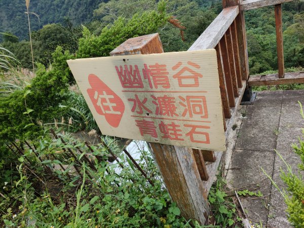 古坑水濂洞瀑布步道983431