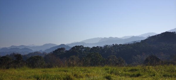 2026/01/10_銅鏡山林步道2980602