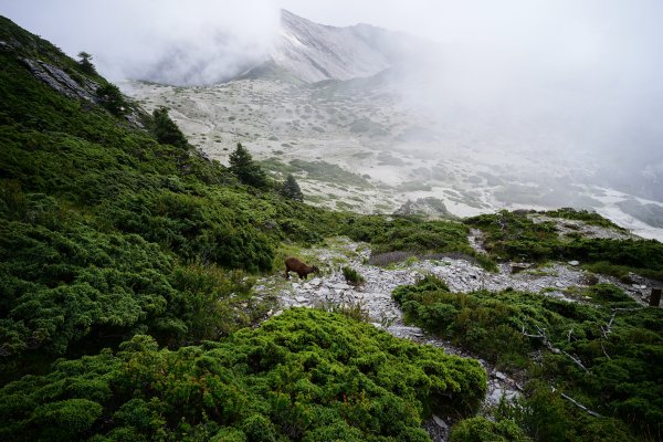 【一遇】【南湖群峰】2581452