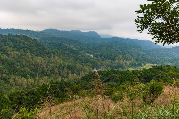 [宜蘭]鵲子山2932535