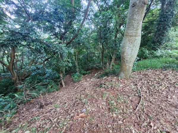 20250913秀才步道福人步道保甲古道2929846