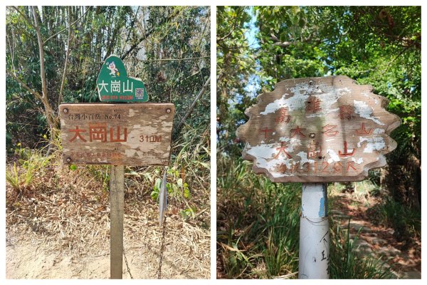 大崗山-小百岳#74-高雄市阿蓮區2486141