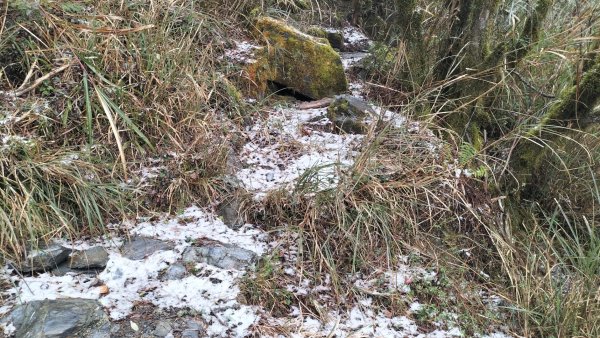 20250127_關山嶺山2706869