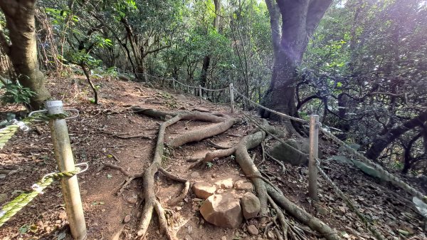 台北大縱走第一段1249091