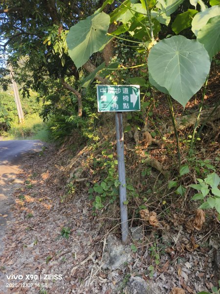 小崗山2025-12-072957833