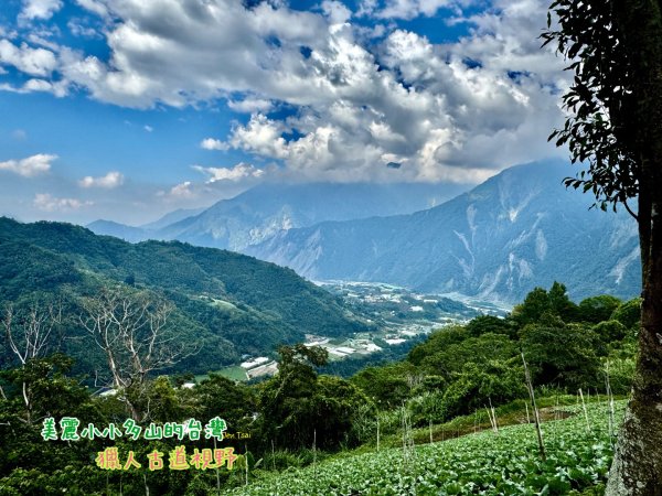 瞭望台-瓊山-望美山-獵人古道2886917