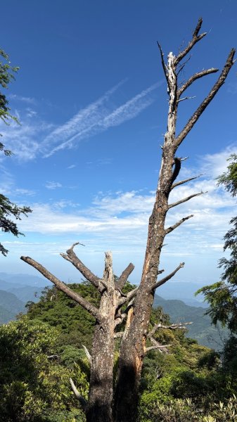 「試試看」在泰雅族語中發音為 Ptlaman3060626