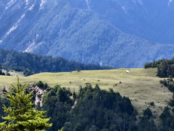 北一段(13/14)審馬陣山 2025_0906~132887535