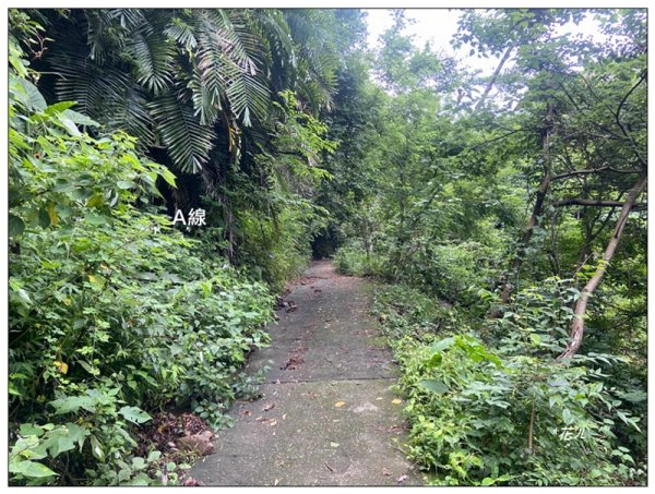 大克山 南稜線A上B下 (卓蘭最高峰)2825451