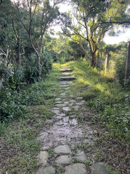 [屏步青雲 尋寶任務-07/10] 2024_1006 社頂自然公園步道2616786