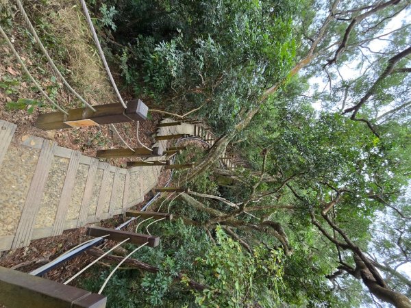 台中大坑9號／9之1／6號／7號O繞3連峰（西平山／平和山／大山母山）2709811