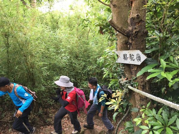 觀音山上北橫古道128182