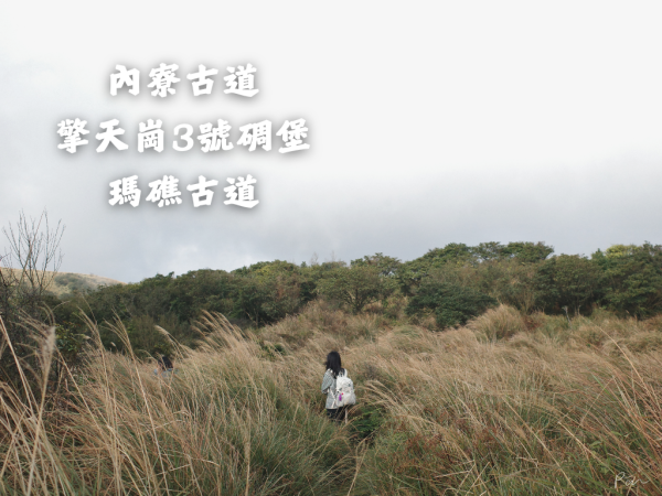 內寮古道、擎天崗3號碉堡、瑪礁古道O型｜陽明山腳下幽靜的林蔭山徑