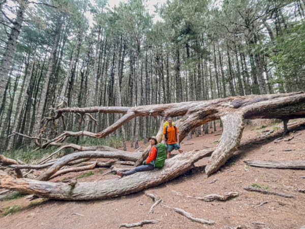 南湖群峰 完整攻略照片集2770025