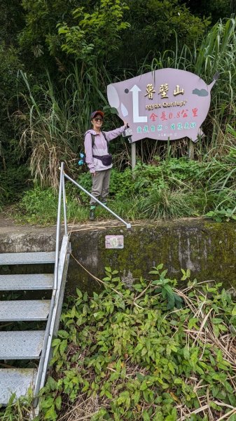 113.06.01魯壁山-東穗山之旅2529865