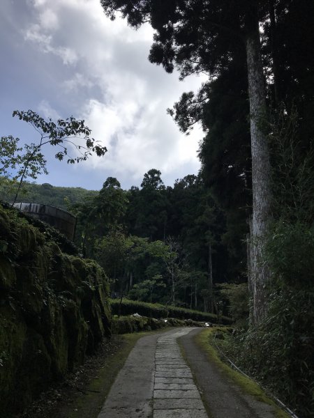 109年7月12日嘉義大凍山1040060