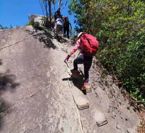 【中級山】谷關七雄東卯山2740990