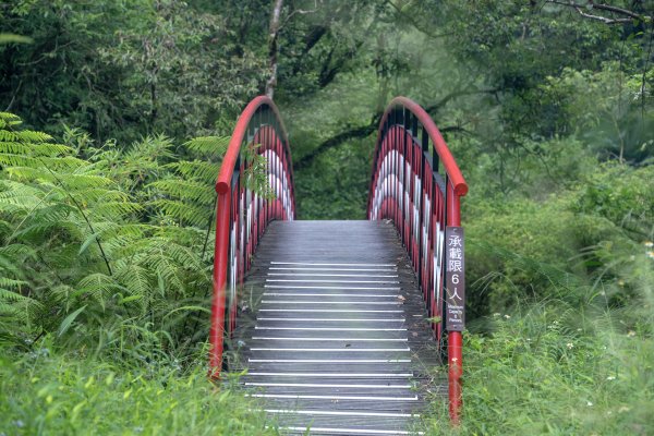 九寮溪步道與梅花湖2927073