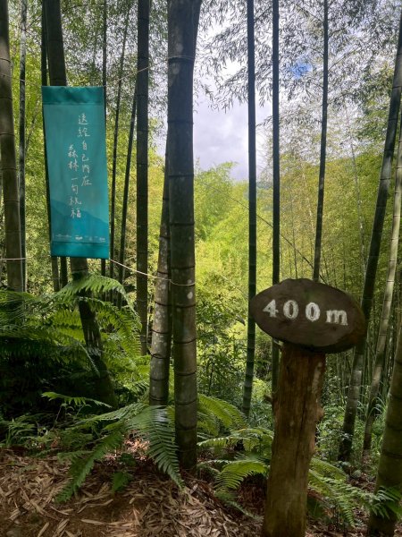 嵐山再古坑。五元兩角 木馬古道2806150