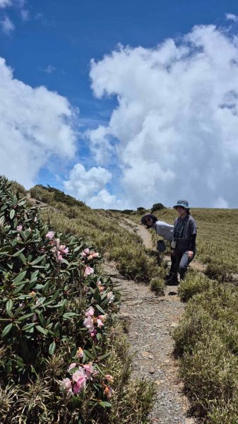 20250515-20250516 《登》合歡群峰3020156