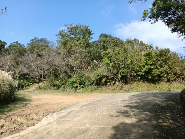 汐止區茄苳越嶺古道+上鹿窟崙山+九層坪山+四分尾山+大尖山8字走2981625