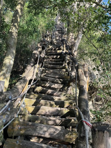 大坑二號步道2711572